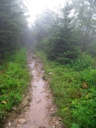 thumbnail of "Misty Post-Breakfast Trail - 02"