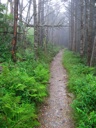thumbnail of "Misty Post-Breakfast Trail - 07"