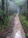 thumbnail of "Misty Post-Breakfast Trail - 13"