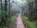 thumbnail of "Misty Post-Breakfast Trail - 14"