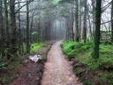 thumbnail of "Misty Post-Breakfast Trail - 15"