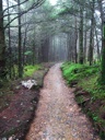 thumbnail of "Misty Post-Breakfast Trail - 16"
