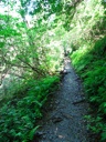 thumbnail of "The Alum Cave Bluffs Trail - 02"