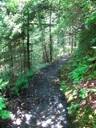 thumbnail of "The Alum Cave Bluffs Trail - 03"