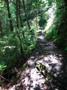 thumbnail of "The Alum Cave Bluffs Trail - 04"