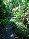 thumbnail of "The Alum Cave Bluffs Trail - 06"