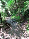 thumbnail of "The Alum Cave Bluffs Trail - 07"
