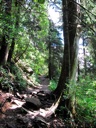 thumbnail of "The Alum Cave Bluffs Trail - 08"