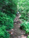 thumbnail of "The Alum Cave Bluffs Trail - 10"