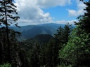 thumbnail of "Trees & Mountains Along The Alum Cave Bluffs Trail - 12"