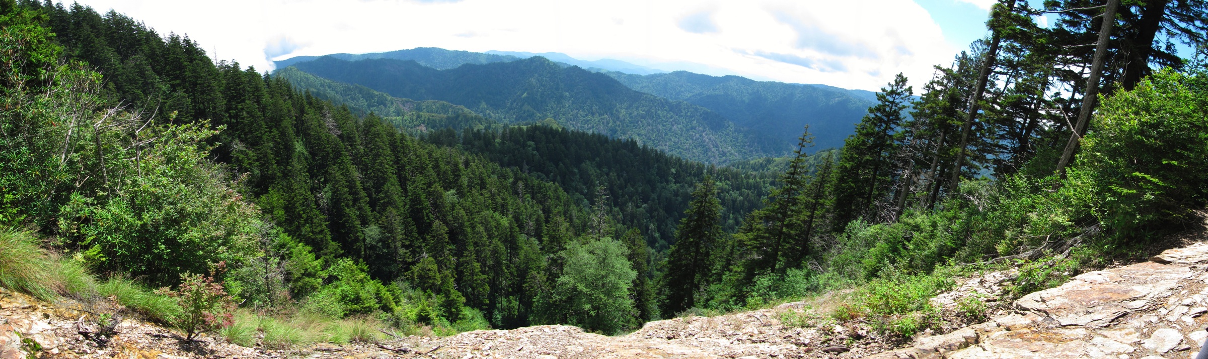 View From Alum Cave Bluff Trail 1 - Tall