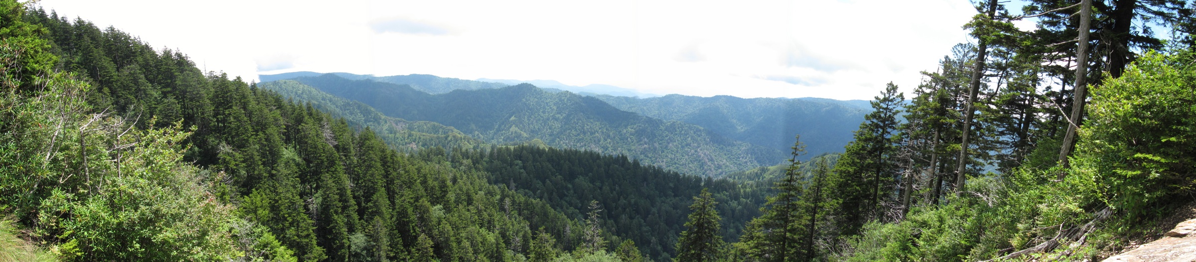 View From Alum Cave Bluff Trail 1 - Wide