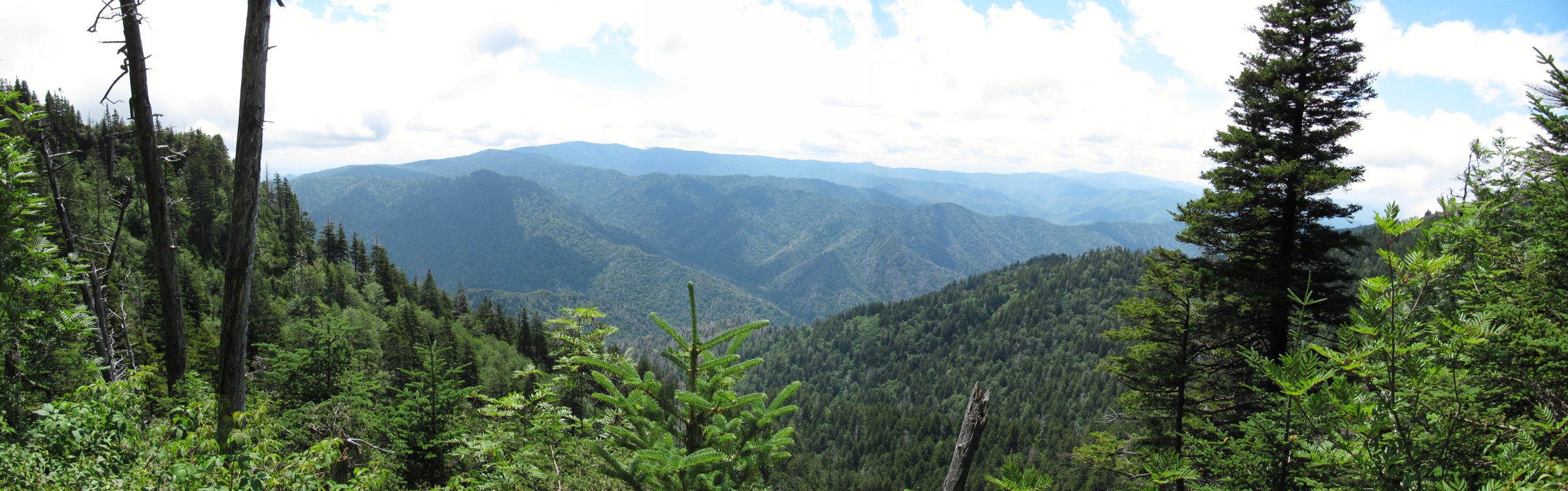 View From Alum Cave Bluff Trail 2