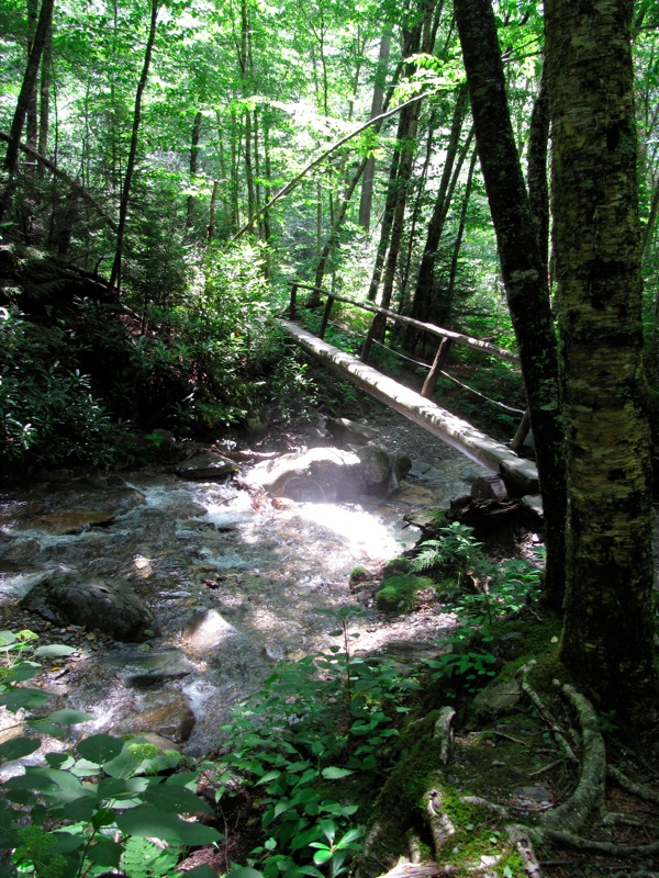 Bright Bridge On The Alum Cave Trail