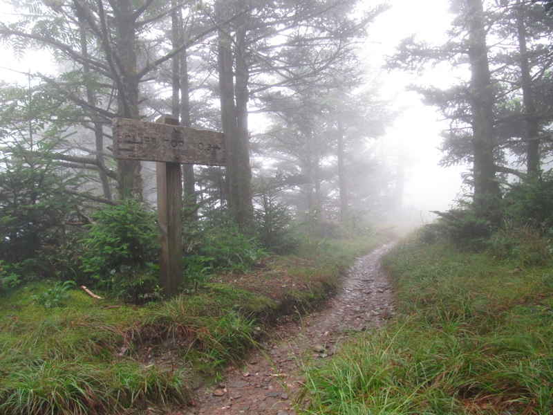 Cliff Top Trail Sign After Sunrise