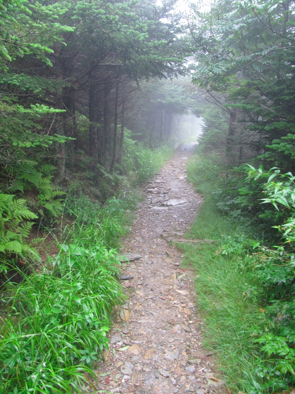 Foggy Alum Cave Trail - 02