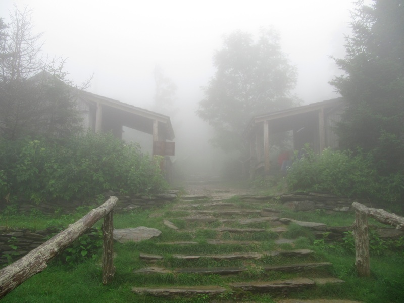 Foggy Steps To LeConte Lodge - 1