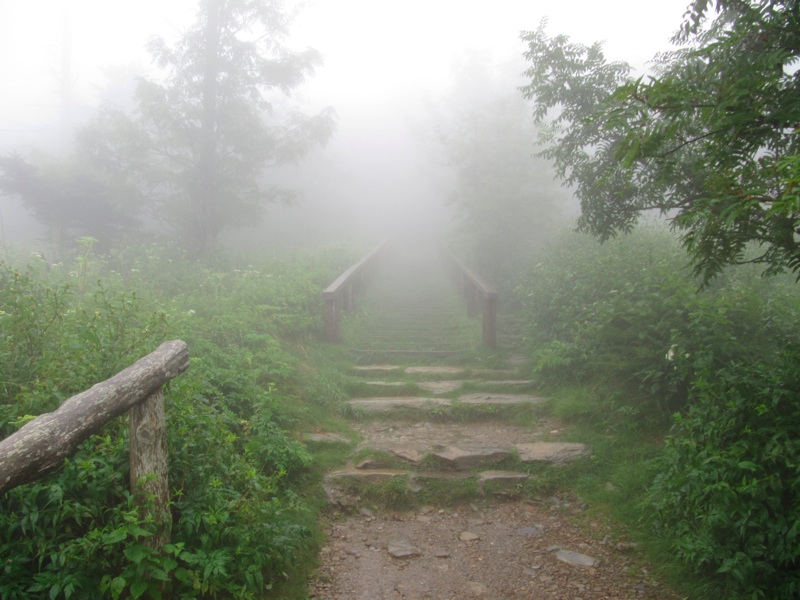 Foggy Steps To LeConte Lodge - 2