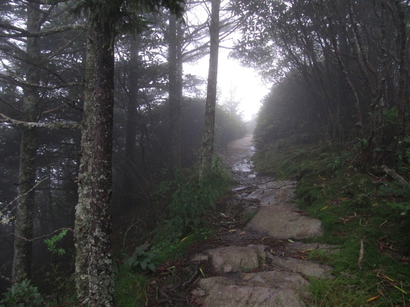 Foggy Trail To Cliff Top