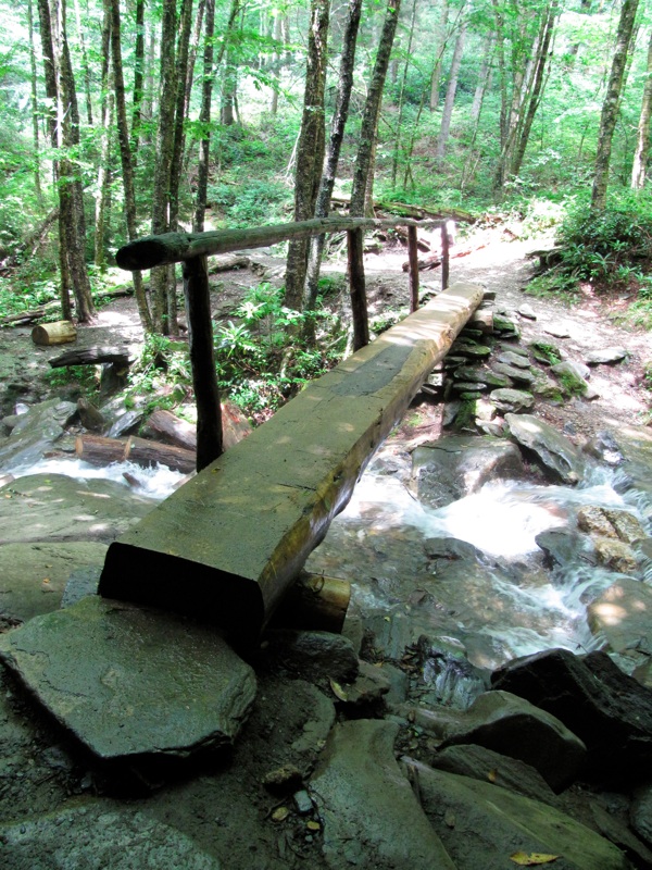 Log Bridge Below Arch Rock