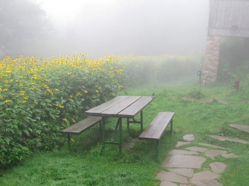 Picnic Table