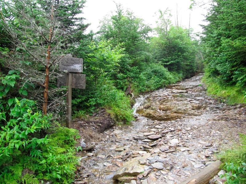 Rainbow Falls & Bullhead Trail Sign - 2