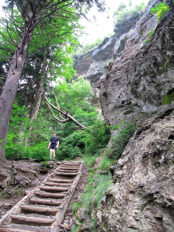 Stairs To Alum Cave Bluffs