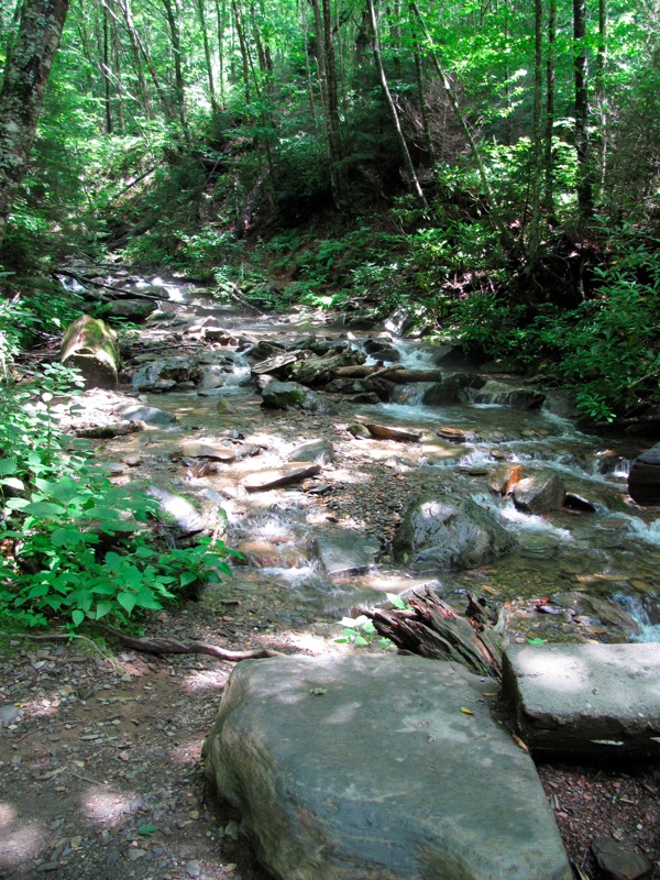 Stream Off The Alum Cave Trail - 1