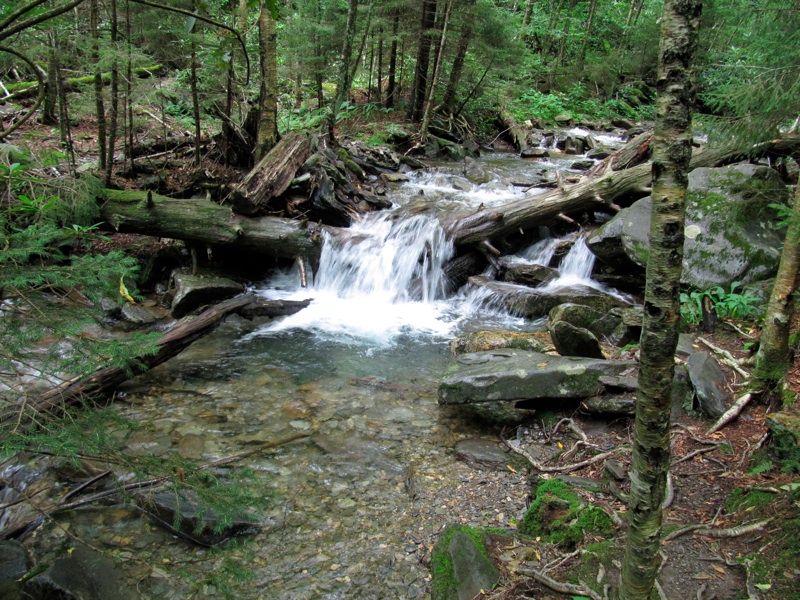 Stream Off The Alum Cave Trail - 2