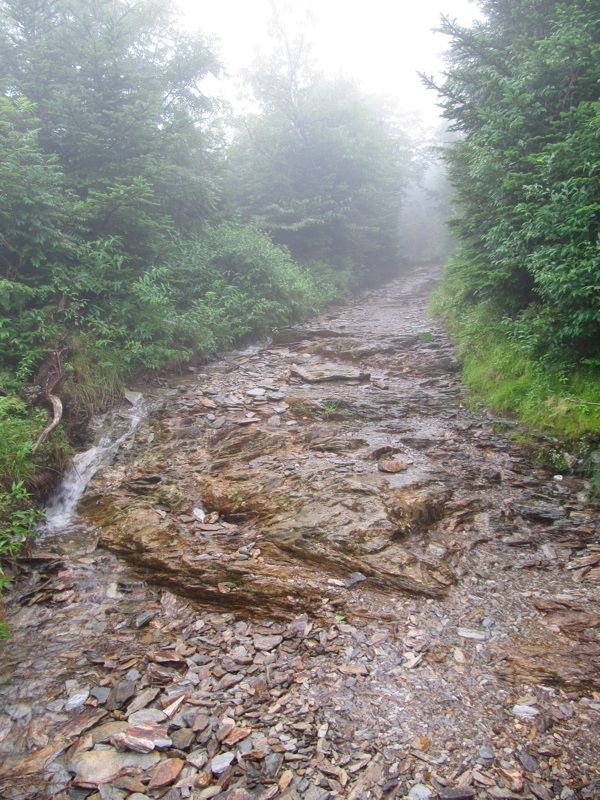 Thoroughly Wet Trail Intersection