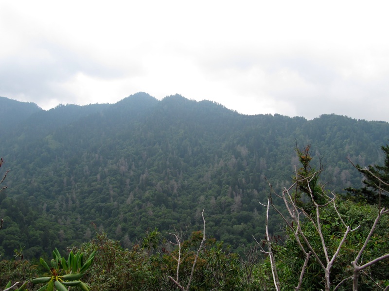 View From The Alum Cave Trail - 1