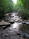 thumbnail of "Alum Cave Creek From The Bridge"