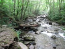 thumbnail of "Alum Cave Creek & Roots"
