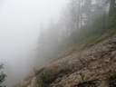 thumbnail of "Alum Cave Trail Dropoff - 2"