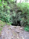 thumbnail of "Arch Rock From Above"