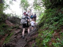 thumbnail of "Ascending The Trail"