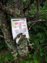 thumbnail of "Bear Warning Sign"