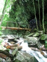 thumbnail of "Bridge Below Arch Rock"