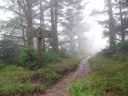 thumbnail of "Cliff Top Trail Sign After Sunrise"