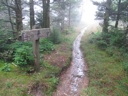 thumbnail of "Cliff Top Trail Sign Before Sunset"