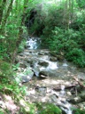 thumbnail of "Creek Below Arch Rock"