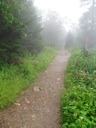 thumbnail of "Foggy Alum Cave Trail - 01"