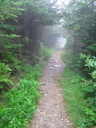 thumbnail of "Foggy Alum Cave Trail - 02"