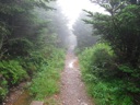 thumbnail of "Foggy Alum Cave Trail - 03"