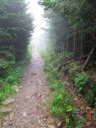 thumbnail of "Foggy Alum Cave Trail - 04"