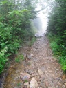 thumbnail of "Foggy Alum Cave Trail - 05"