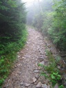 thumbnail of "Foggy Alum Cave Trail - 06"