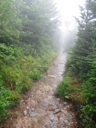 thumbnail of "Foggy Alum Cave Trail - 07"