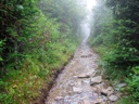 thumbnail of "Foggy Alum Cave Trail - 08"