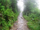 Thumbnail of Image- Foggy Alum Cave Trail - 09